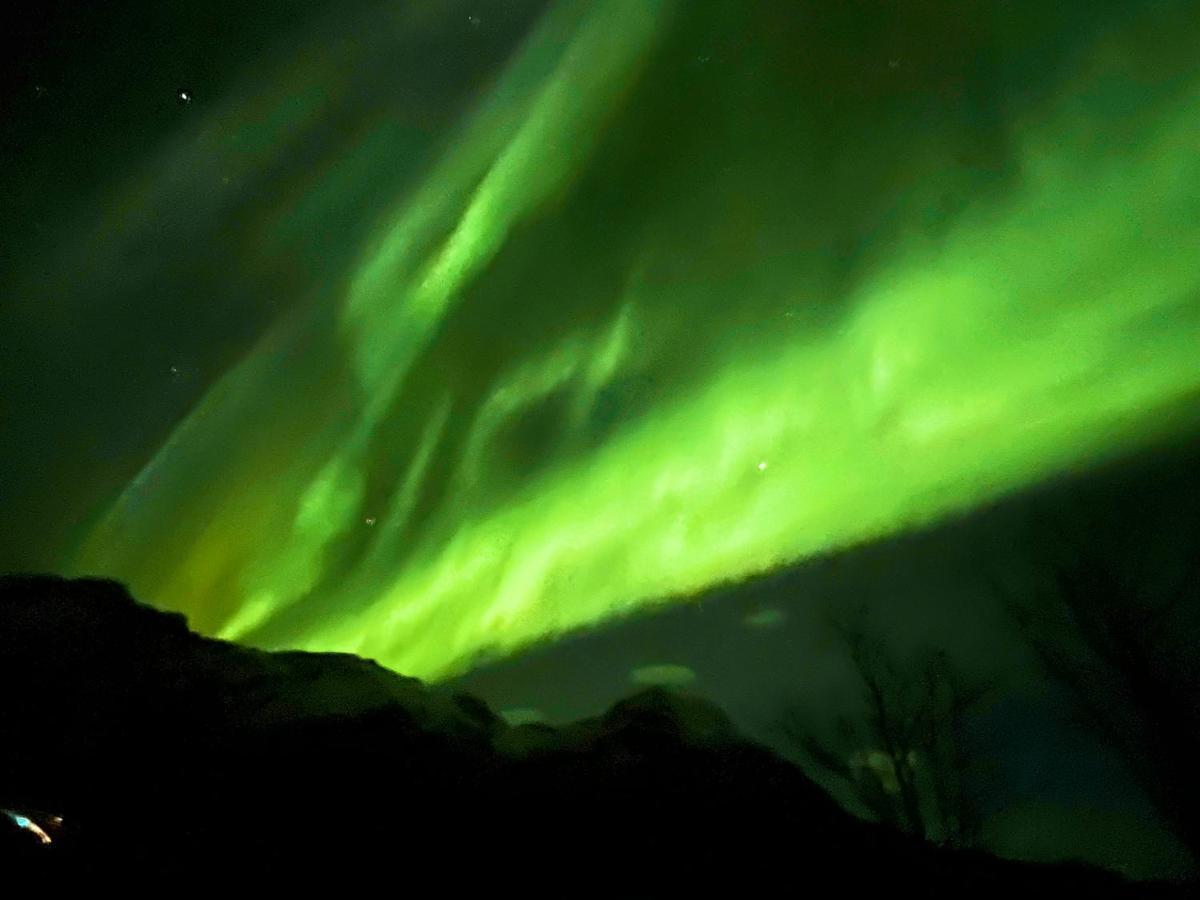 Lofoten Glampingdome Myrland Buitenkant foto