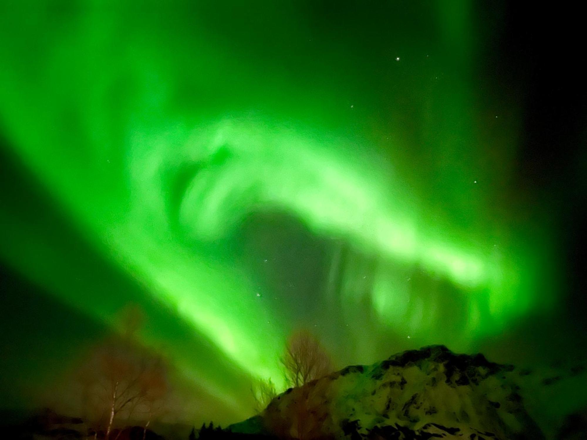 Lofoten Glampingdome Myrland Buitenkant foto