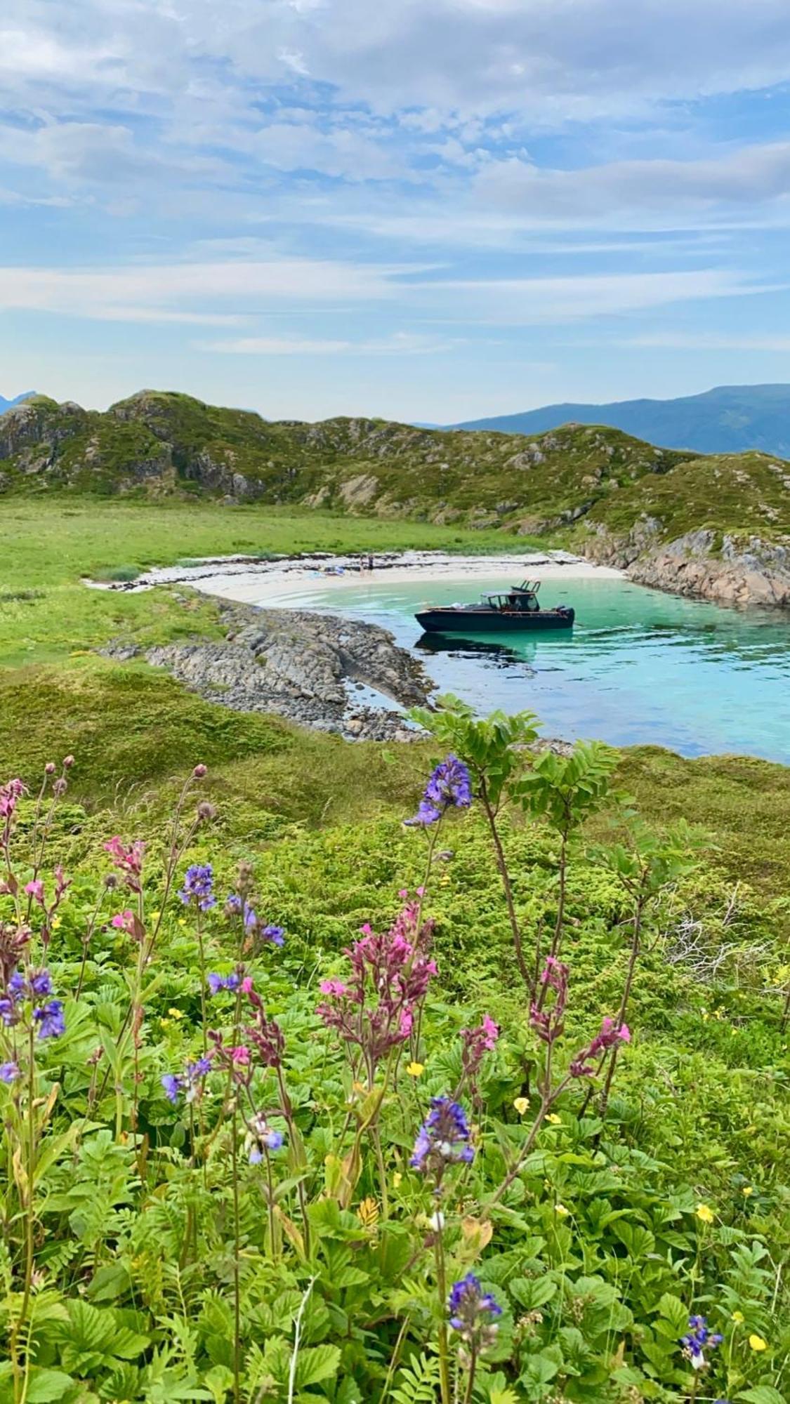 Lofoten Glampingdome Myrland Buitenkant foto